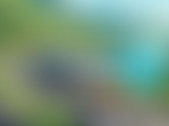 Cruising vs Land Trips: Pros and Cons