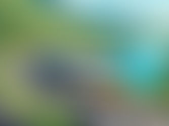 Cruising vs Land Trips: Pros and Cons