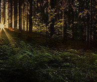 mila-del-monte-sunset-5235908_1280.jpg
