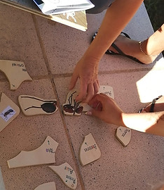 Rallyfourmizz Trout droits réservés ANATOL'I