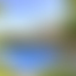 Luxury Villa in Son Very Nou (for rent)                  