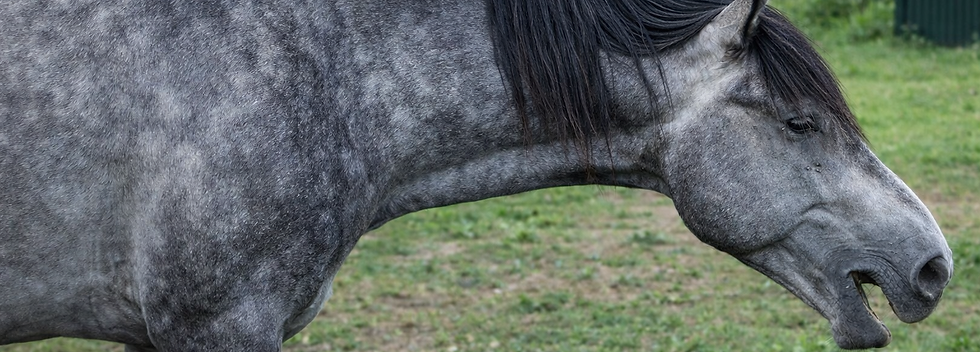 ChatGPT Image 26. Jan. 2026, 16_56_40.png