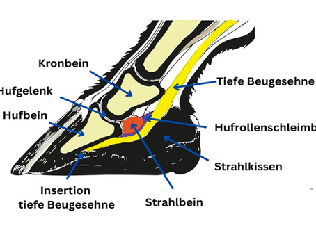 Hufrolle