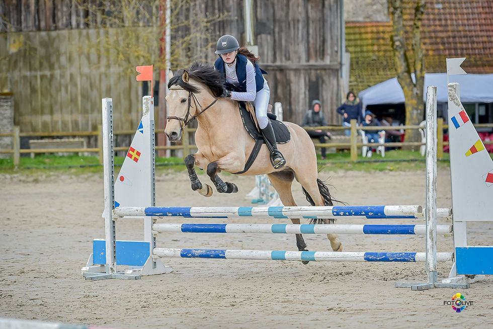concours poney yvelines.jpeg