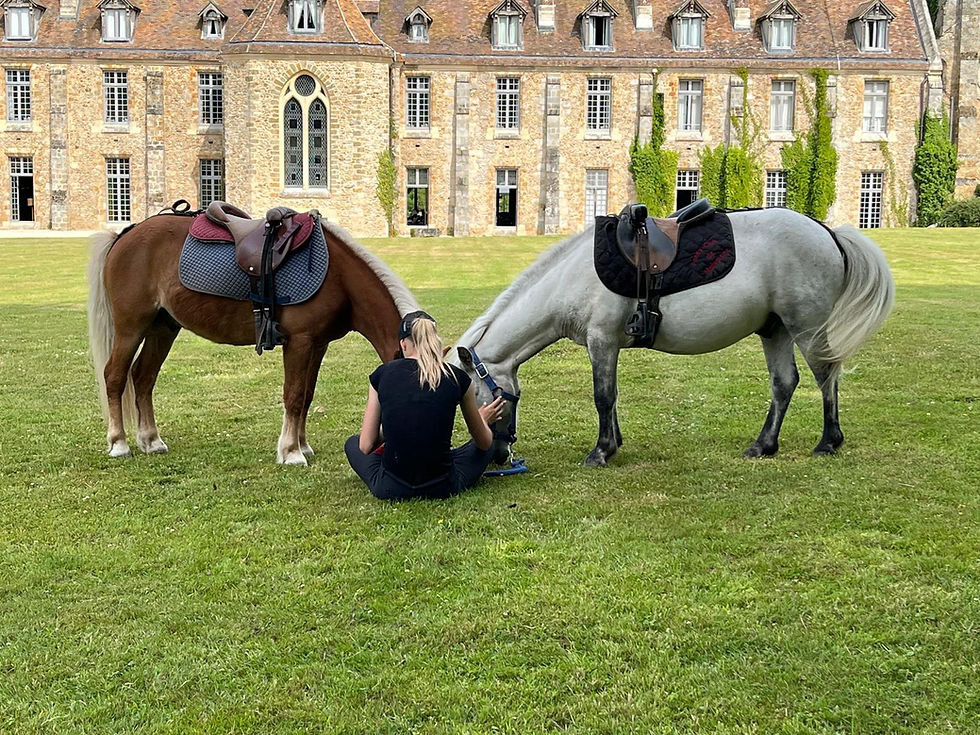 Sorties poney foret 78.jpeg