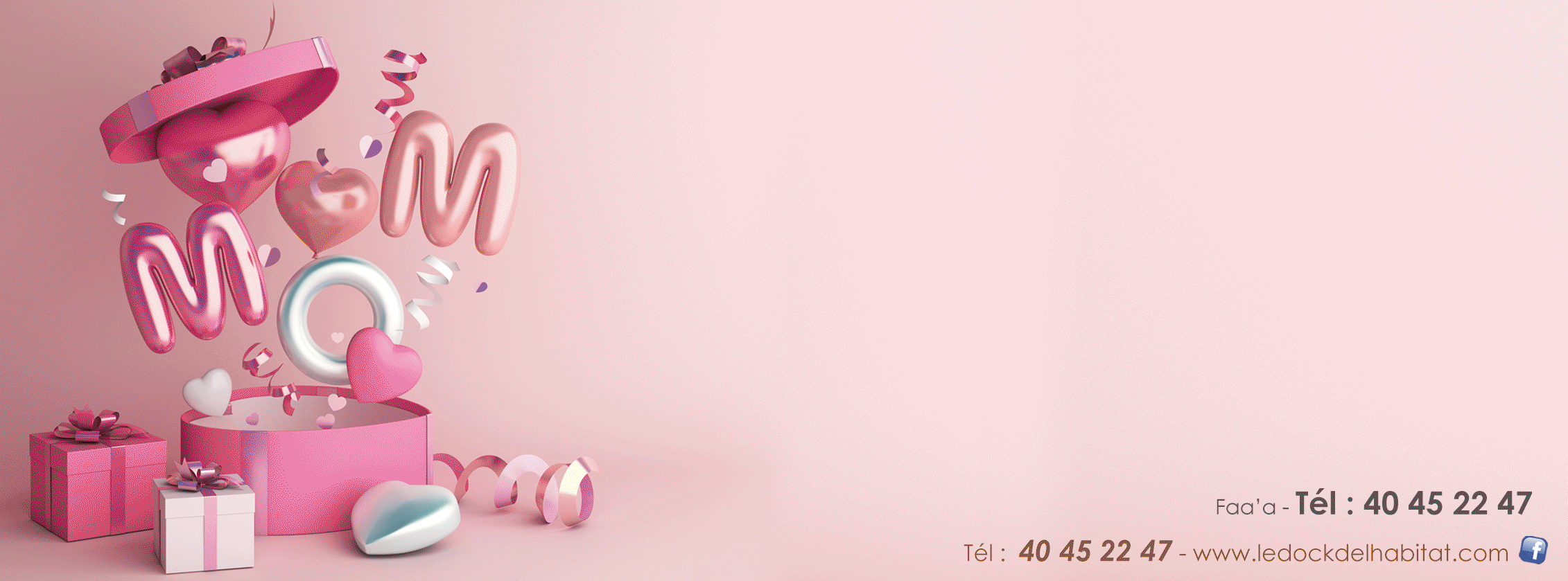 couv-FB-FDM.gif