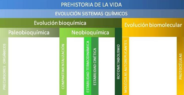 Prehistoria de la vida. ADERAVA