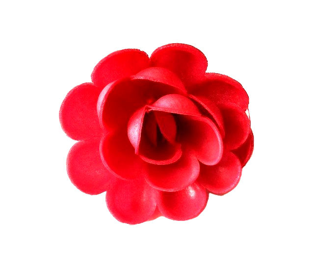 Sarkani lielie ziedi