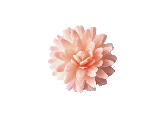 Maza astere - krēmkrāsas