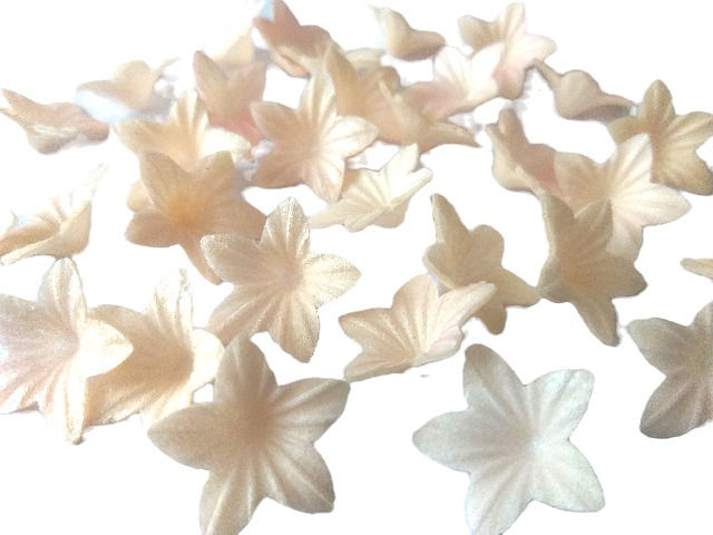 Sīktēls: Sīkziediņi Krēmkrāsas