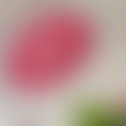 Create your own card backgrounds | Thanksgiving Card