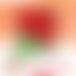 Interactive Shaker Christmas Cards