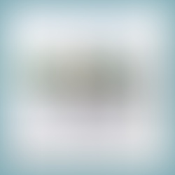 Create a Fun Wintery Scene 