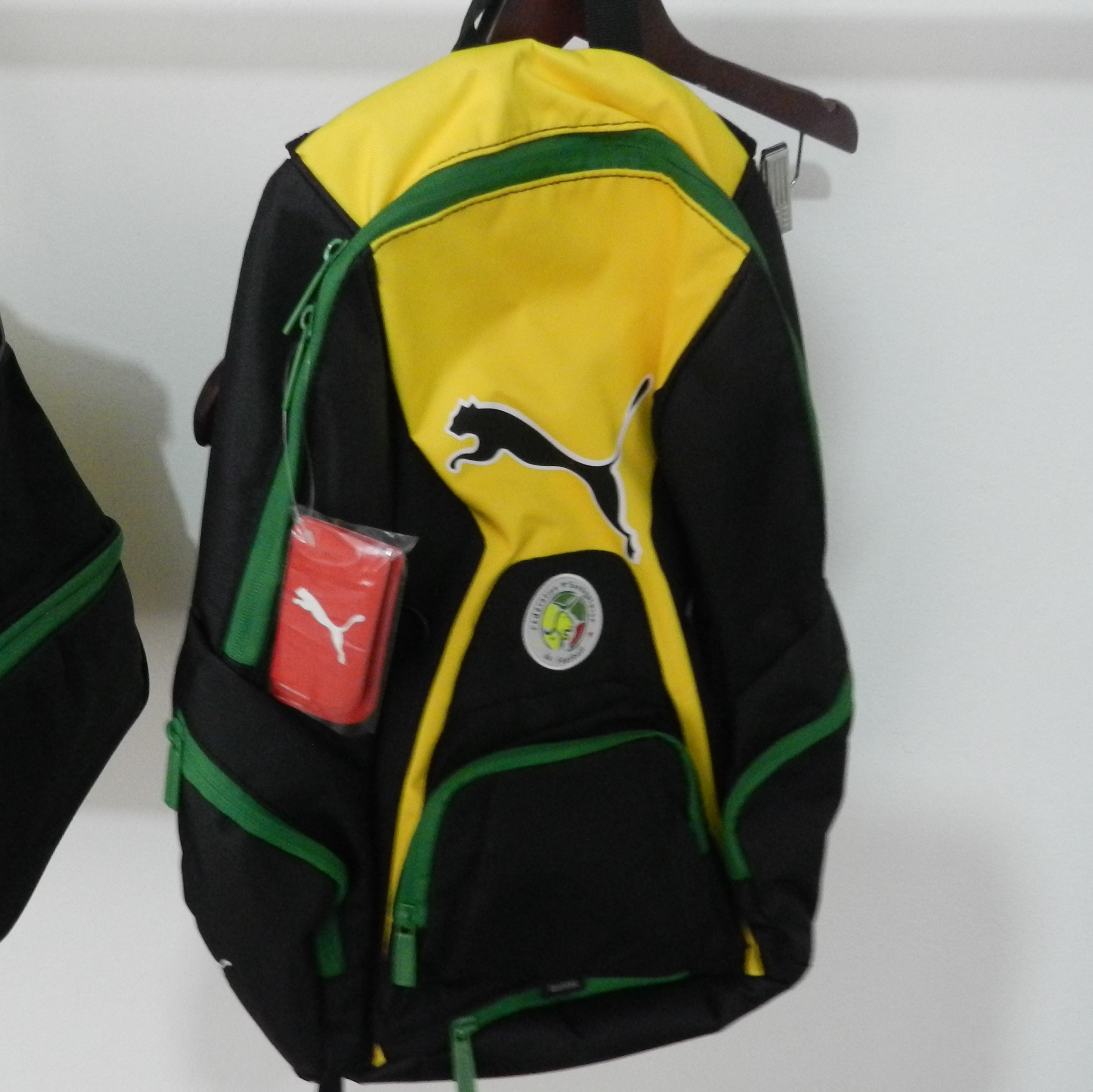 Sac_à_dos_puma