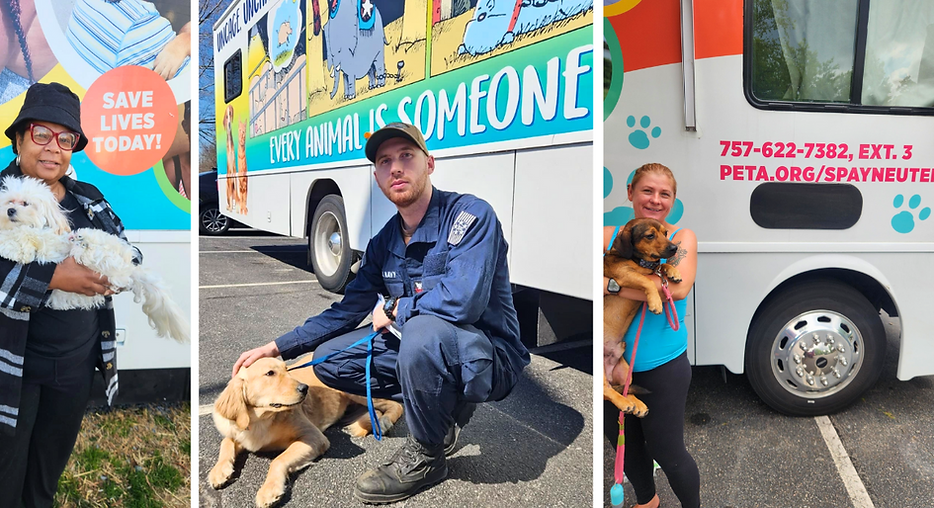 FNACC Spay Neuter with Peta.png