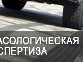 Вопросы, которые решает трасологическая экспертиза