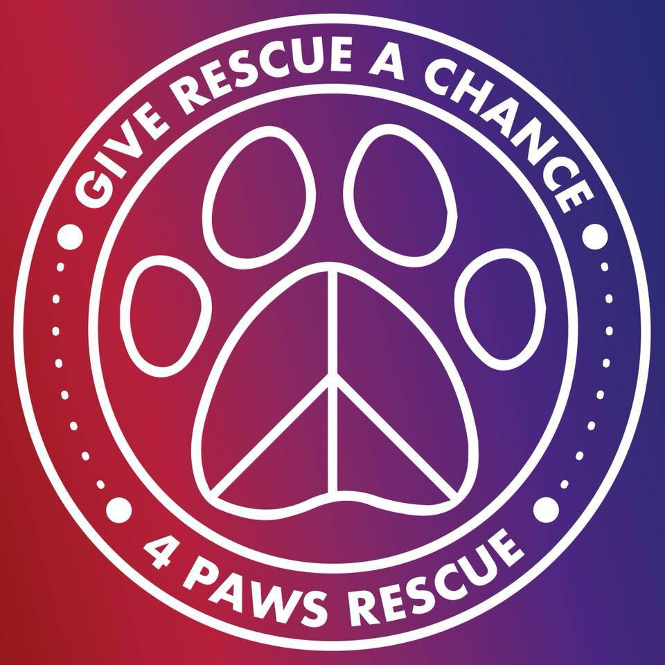 4 paws for ability petfinder on sale