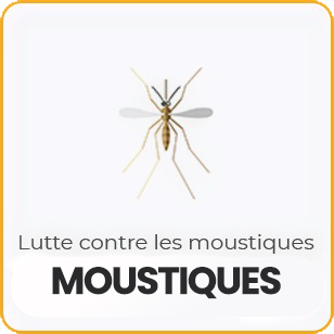 Lutte contre les moustiques