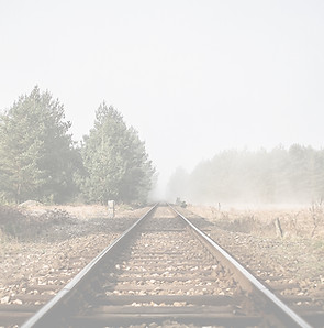 Railroad in Nature_edited.jpg