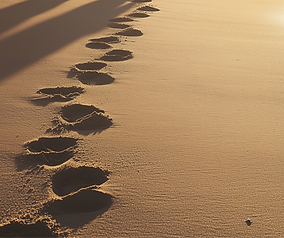 yuvalna_Create_a_serene_image_capturing_