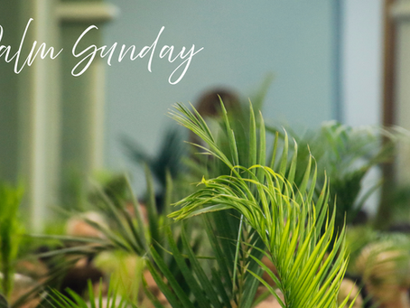 WE CRY, "HOSANNA LORD!"