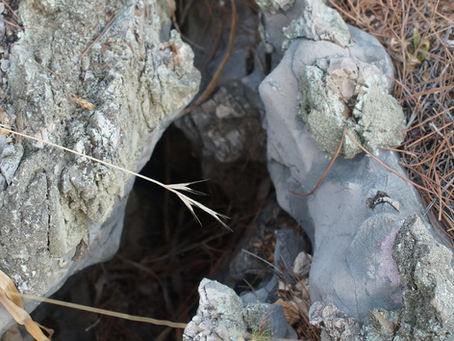 Special Encouraging Post- The Crevice