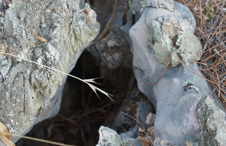 Special Encouraging Post- The Crevice 