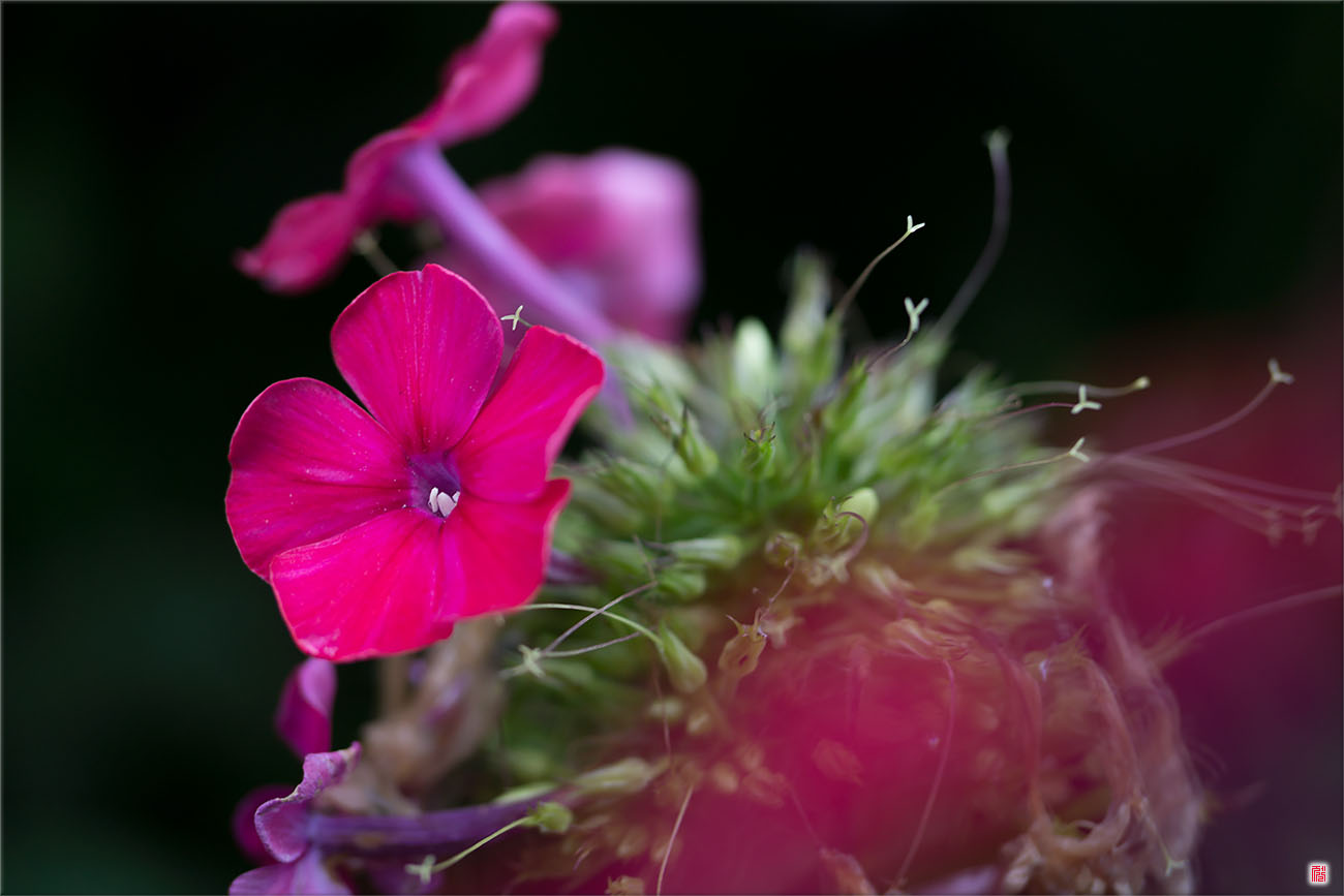 WT150722_sam3052