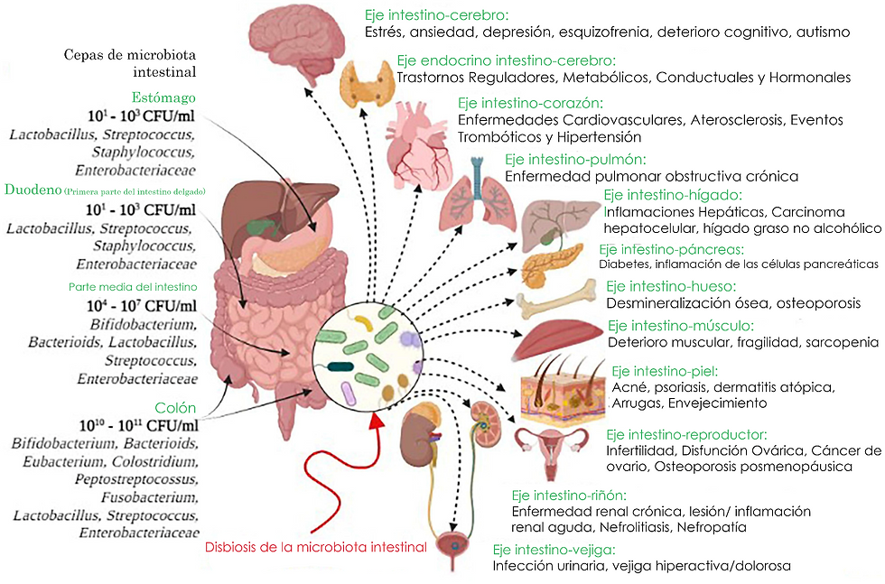 Microbiota
