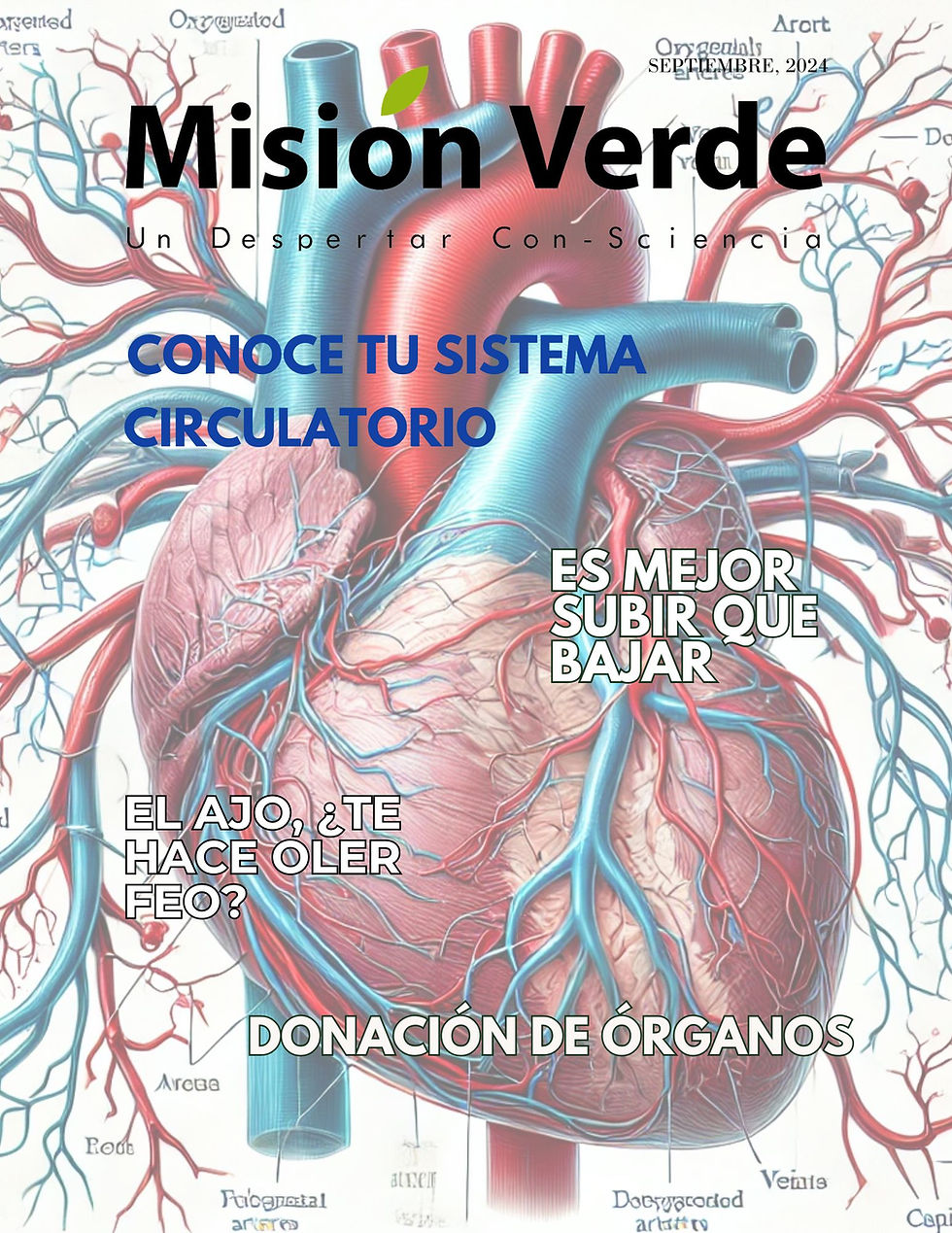 Misión Verde - Septiembre 2024