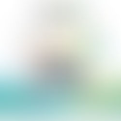 RIZOM is almost live!