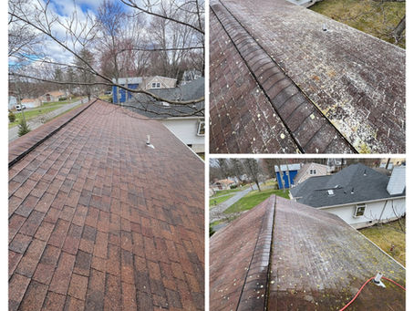 Is Your Home Insurance Provider Forcing You to Have Your Roof Professionally Cleaned?
