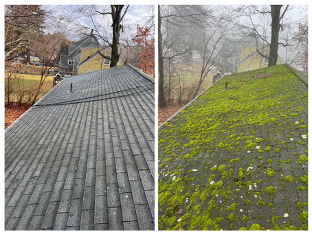 The Essential Guide to Roof Cleaning in New England: Safeguarding Your Home Against Weather and Wear