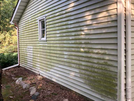 Are New England Homes Facing Unprecedented Algae and Growth This Season?