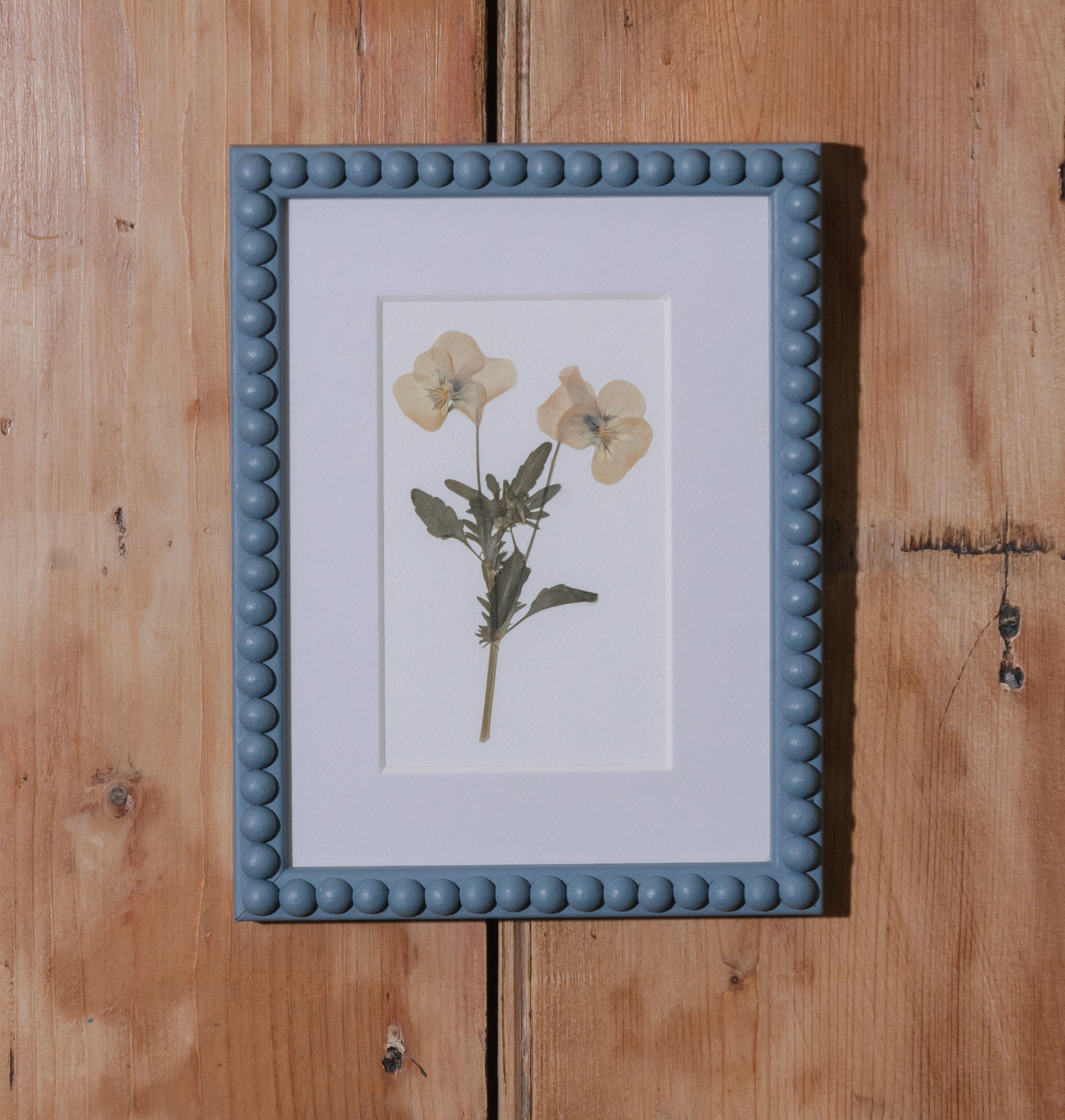Pansy Bobbin Framed Pressed Flower Botanical Art - SOLD