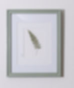 Detail of fern pressed flower botanical artwork