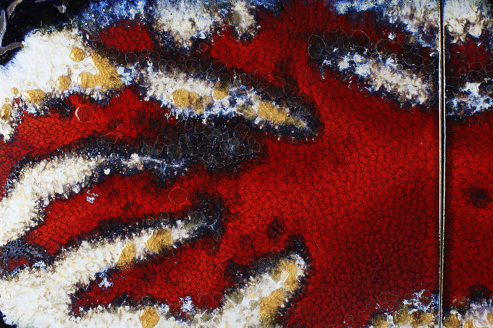 Miniaturbild: Claudia Biehne "Landscapes in the mind 09"
