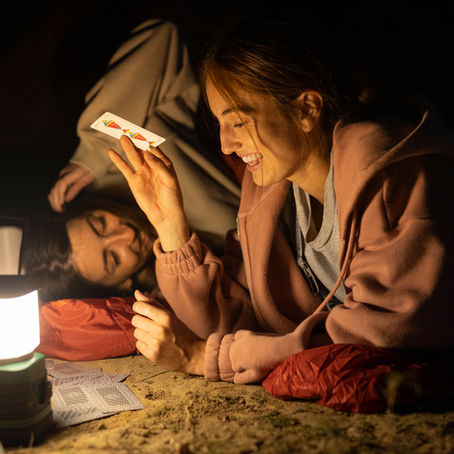 Advanced Light Engineering for a Smarter, Safer Environment