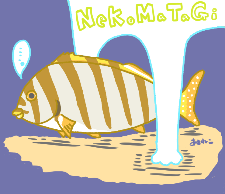 さかなのイラスト