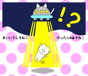 まいにちしろねこスタンプ