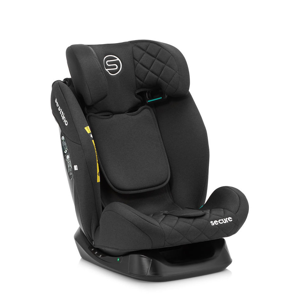 Прев'ю: Автокрісло Sesttino Secure Pro Black 0-36 кг
