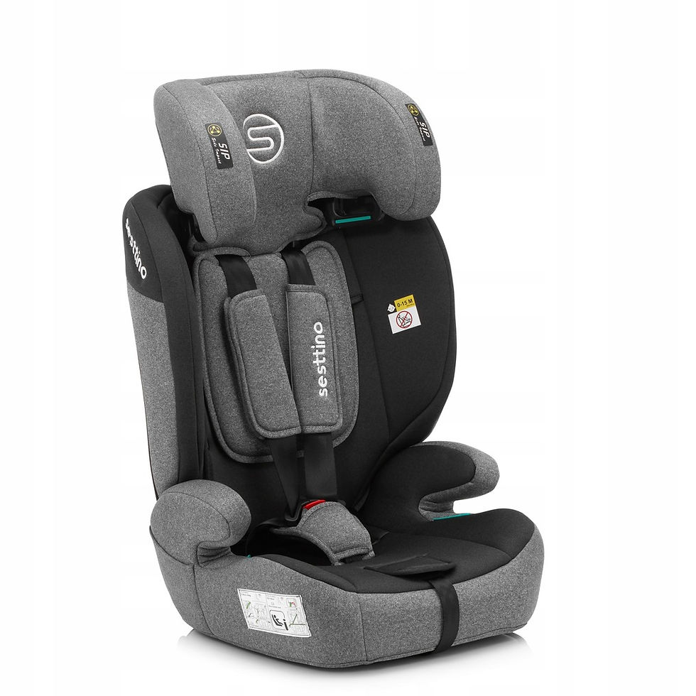 Прев'ю: Автокрісло Sesttino Rocker Pro Grey 9-36 кг