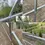 Прев'ю: Садова теплиця 4×2,5×2 м (10 м2) Mar-Pol M85001