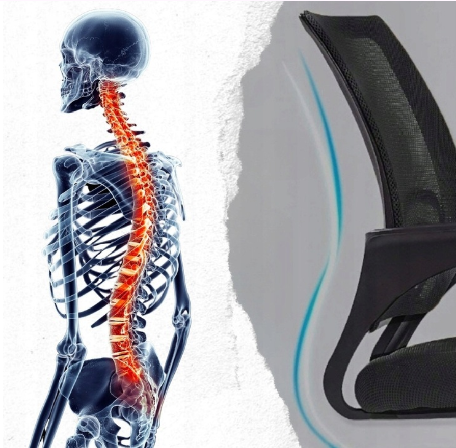 Прев'ю: Офісне крісло Care Life Black Mesh (CF-09)