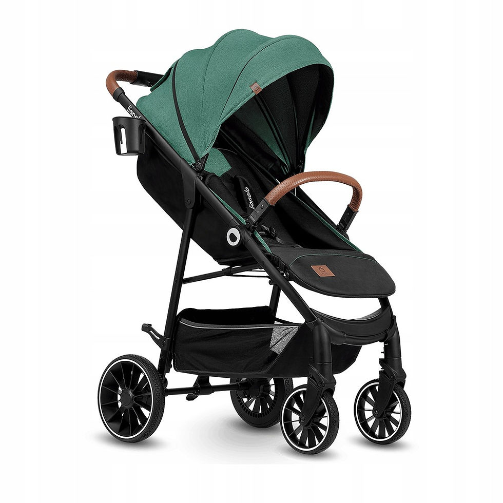Прев'ю: Прогулянкова коляска Lionelo Alexia Forest Green