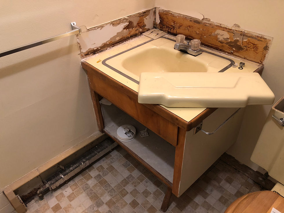 Bathroom Sink Before