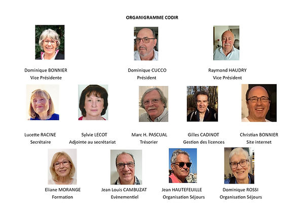 ORGANIGRAMME CODIR.jpg