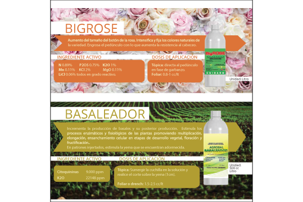 Pagina-1-Catalogo-rosfol-OI