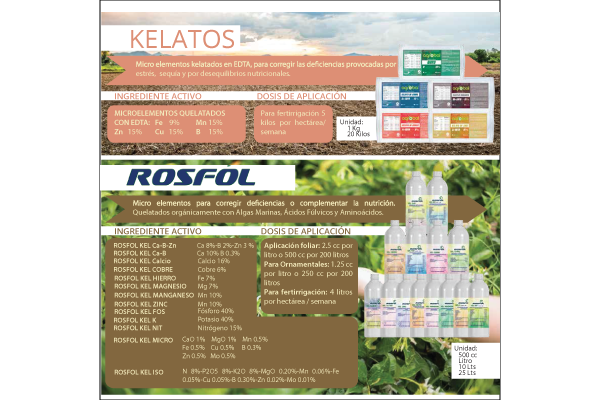 Pagina-2-Catalogo-rosfol-OI