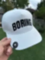 boring hat.webp